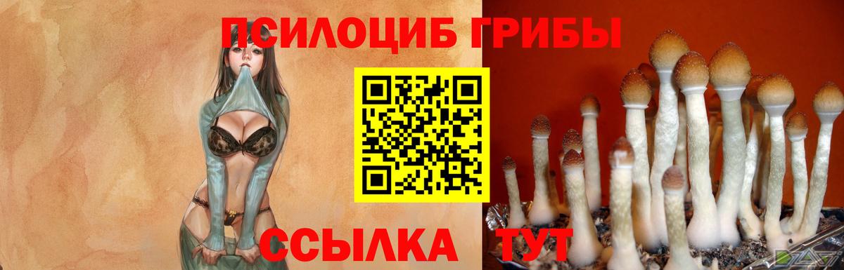 Галлюциногенные грибы GOLDEN TEACHER Учалы